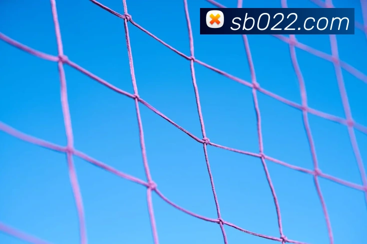 sunbet申博官网服务体系